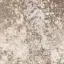 Champagne Crushed Velvet